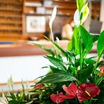 Stacchini Hotel Cesenatico
